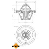 NRF | Thermostat, Kühlmittel | 725066