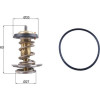 Mahle | Thermostat, Kühlmittel | TX 264 82D