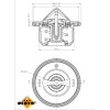 NRF | Thermostat, Kühlmittel | 725097