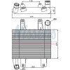 Nissens | Ladeluftkühler | 96660