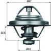 Mahle | Thermostat, Kühlmittel | TX 24 87D