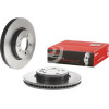 Brembo | Bremsscheibe | 09.8873.31