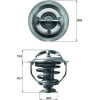 Mahle | Thermostat, Kühlmittel | TX 117 95D