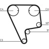 ContiTech | Zahnriemen | CT773