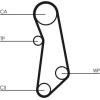 ContiTech | Zahnriemen | CT1114