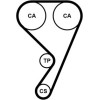 ContiTech | Zahnriemen | CT1189