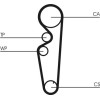 ContiTech | Zahnriemensatz | CT878K1