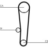 ContiTech | Zahnriemen | CT1017