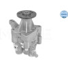 Meyle | Hydraulikpumpe, Lenkung | 314 631 0024