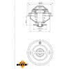 NRF | Thermostat, Kühlmittel | 725075