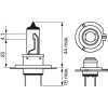 BOSCH | Glühlampe | 1 987 301 012