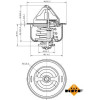 NRF | Thermostat, Kühlmittel | 725160