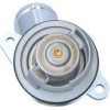 NRF | Thermostat, Kühlmittel | 725055