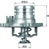 Mahle | Thermostat, Kühlmittel | TI 13 92