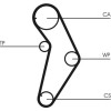 ContiTech | Zahnriemen | CT927