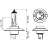 BOSCH | Glühlampe | 1 987 301 010