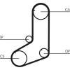 ContiTech | Zahnriemen | CT801