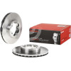 Brembo | Bremsscheibe | 09.A529.10