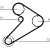 ContiTech | Zahnriemen | CT921