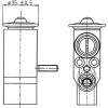 Mahle | Expansionsventil, Klimaanlage | AVE 89 000P