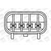 BorgWarner (BERU) | Zündspule | ZS372