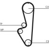 ContiTech | Zahnriemen | CT765