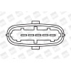 BorgWarner (BERU) | Zündspule | ZS358