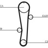 ContiTech | Zahnriemen | CT942