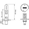 BOSCH | Glühlampe | 1 987 301 005