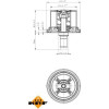 NRF | Thermostat, Kühlmittel | 725099