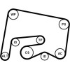 ContiTech | Keilrippenriemensatz | 6PK2155K1