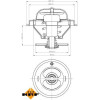 NRF | Thermostat, Kühlmittel | 725185