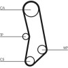 ContiTech | Zahnriemensatz | CT503K1
