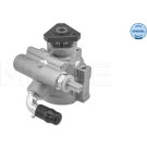 Meyle | Hydraulikpumpe, Lenkung | 16-14 631 0003