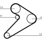 ContiTech | Zahnriemen | CT517