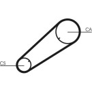 ContiTech | Zahnriemen | CT1004