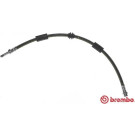 Brembo | Bremsschlauch | T 85 126