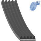 Blue Print | Keilrippenriemen | AD05R855 Blue Print | Keilrippenriemen | AD05R855