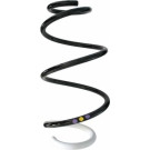 Spidan | Fahrwerksfeder | 87877 Spidan | Fahrwerksfeder | 87877