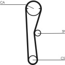 ContiTech | Zahnriemen | CT669