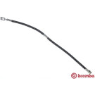 Brembo | Bremsschlauch | T 85 149