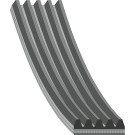 FEBI BILSTEIN 28850 Keilrippenriemen FEBI BILSTEIN 28850 Keilrippenriemen