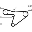 ContiTech | Zahnriemen | CT810