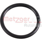 Metzger | Dichtring, Lader | 2430066