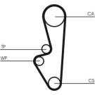 ContiTech | Zahnriemen | CT524