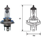 Magneti Marelli | Glühlampe | 002555100000