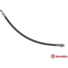 Brembo | Bremsschlauch | T 06 047