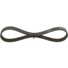 BOSCH | Keilrippenriemen | 1 987 948 354 BOSCH | Keilrippenriemen | 1 987 948 354