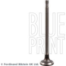 Blue Print | Einlassventil | ADBP610034