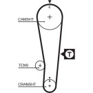 Gates | Zahnriemen | 5382XS